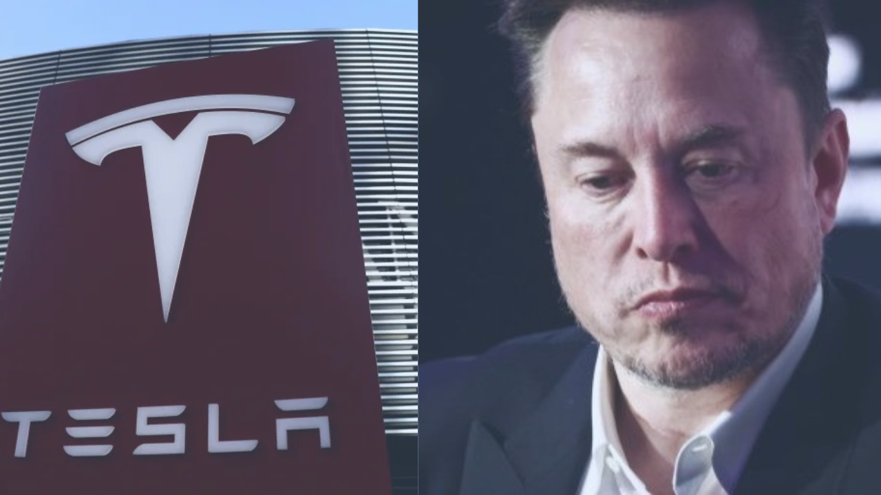 Investor Calls for Elon Musk to Step Down as Tesla CEO
